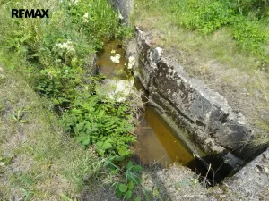 Prodej lesa, Rožmitál pod Třemšínem, 3871 m2