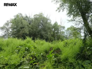 Prodej lesa, Rožmitál pod Třemšínem, 3871 m2