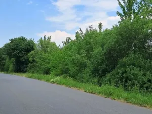 Prodej lesa, Rožmitál pod Třemšínem, 3871 m2