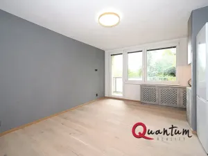 Pronájem bytu 1+kk, Praha - Michle, V zápolí, 36 m2