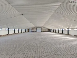 Pronájem skladu, Hrobčice - Razice, 1700 m2