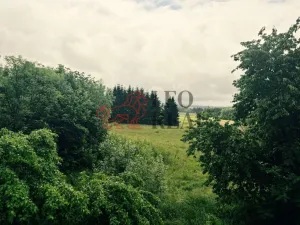 Prodej rodinného domu, Slavíkov, 300 m2