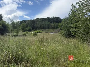 Prodej pozemku pro bydlení, Chomutov, 710 m2