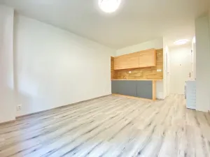 Pronájem bytu 1+kk, Frýdek-Místek - Místek, Vítězslava Nezvala, 21 m2