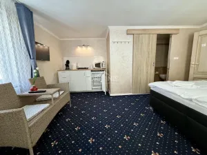 Prodej rodinného domu, Karlovy Vary, Zámecký vrch, 351 m2