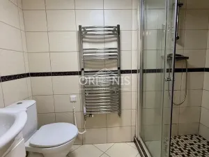 Prodej rodinného domu, Karlovy Vary, Zámecký vrch, 351 m2
