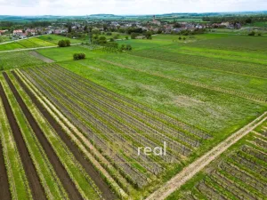 Prodej pozemku, Březí, 3474 m2