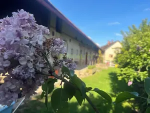 Prodej rodinného domu, Hořice, 80 m2