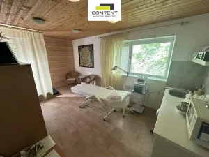 Pronájem skladu, Praha - Čakovice, Za cukrovarem, 280 m2