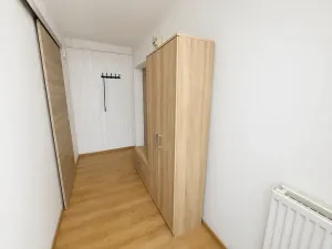 Pronájem bytu 1+1, Frýdek-Místek, Těšínská, 55 m2
