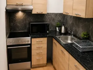 Pronájem bytu 2+kk, Rakovník - Rakovník II, Otýlie Beníškové, 48 m2