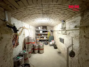 Prodej rodinného domu, Velké Žernoseky, 438 m2