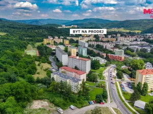 Prodej bytu 2+kk, Ústí nad Labem - Krásné Březno, Přemyslovců, 47 m2