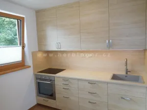 Pronájem bytu 1+kk, Šlapanice, Riegrova, 23 m2