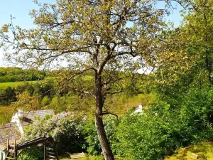 Prodej rodinného domu, Opatovice, 135 m2
