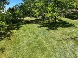 Prodej chaty, Nové Strašecí, Pecínovská, 40 m2