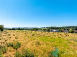Prodej pozemku pro bydlení, Litvínovice - Šindlovy Dvory, 1019 m2
