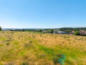 Prodej pozemku pro bydlení, Litvínovice - Šindlovy Dvory, 1019 m2