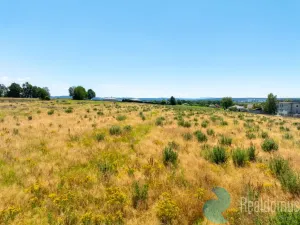 Prodej pozemku pro bydlení, Litvínovice - Šindlovy Dvory, 1019 m2