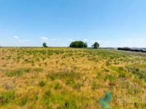 Prodej pozemku pro bydlení, Litvínovice - Šindlovy Dvory, 1019 m2