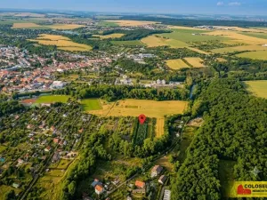 Prodej pole, Znojmo, 2970 m2