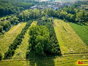 Prodej pole, Znojmo, 2970 m2