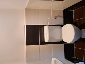 Pronájem rodinného domu, Přelíc, 320 m2