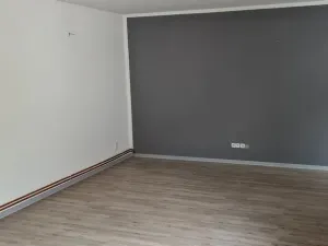Pronájem rodinného domu, Přelíc, 320 m2