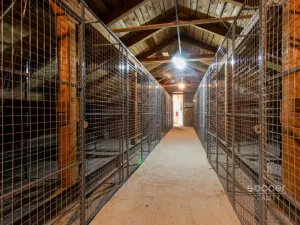 Pronájem bytu 1+kk, Praha - Suchdol, Suchdolské náměstí, 40 m2