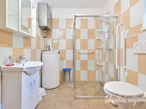 Pronájem rodinného domu, Krokočín, 60 m2