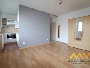 Pronájem bytu 1+kk, Hradec Králové - Slezské Předměstí, Severní, 30 m2