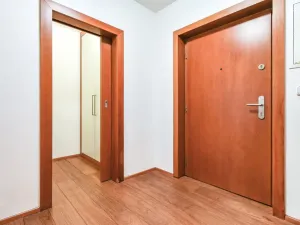 Pronájem bytu 2+kk, Praha - Vysočany, Nepilova, 48 m2
