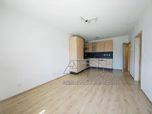 Pronájem bytu 2+kk, České Budějovice, B. Smetany, 46 m2
