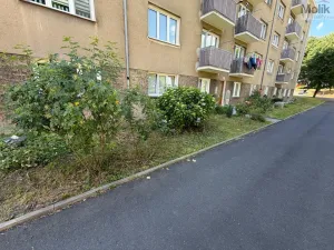 Prodej bytu 2+1, Meziboří, Okružní, 58 m2