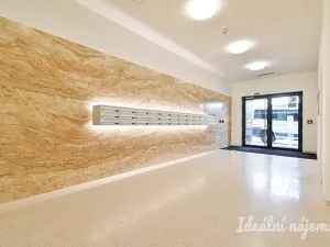 Pronájem bytu 2+kk, Brno, Příční, 36 m2