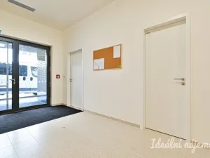 Pronájem bytu 2+kk, Brno, Příční, 36 m2