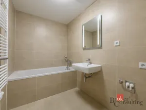 Pronájem bytu 2+kk, Plzeň - Jižní Předměstí, Železná, 60 m2