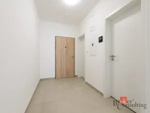 Pronájem bytu 2+kk, Plzeň - Jižní Předměstí, Železná, 60 m2