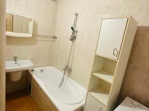 Pronájem bytu 2+1, Plzeň, Brojova, 55 m2