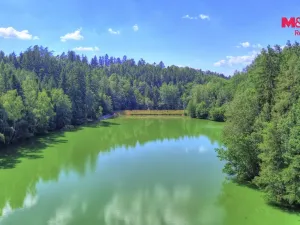 Prodej lesa, Ohnišov - Zákraví, 32996 m2