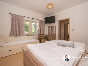 Prodej rodinného domu, Roprachtice, 373 m2