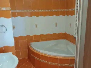 Prodej bytu 3+kk, Výprachtice, 85 m2