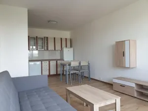 Pronájem bytu 2+kk, Brno, Svážná, 47 m2