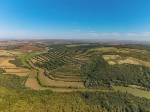 Prodej rodinného domu, Boleradice, 105 m2