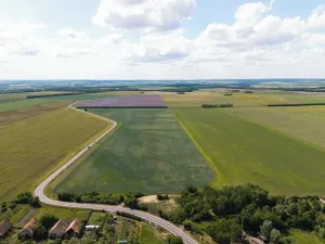 Prodej rodinného domu, Čejkovice, 139 m2