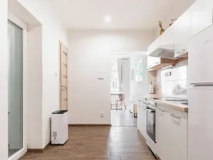 Prodej bytu 1+kk, Brno, Kotlářská, 41 m2