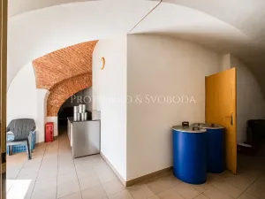 Prodej restaurace, Dobšice, Lahoferova, 218 m2