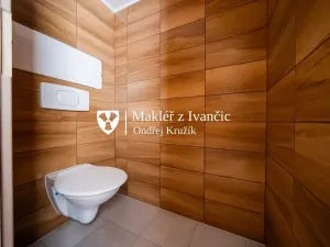 Prodej bytu 2+kk, Počenice-Tetětice - Počenice, 33 m2