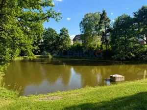 Pronájem bytu 3+1, Ledenice, Na Oborách, 76 m2