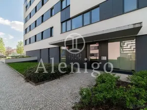 Prodej bytu 2+kk, Praha - Holešovice, U průhonu, 59 m2